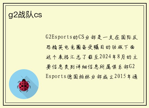g2战队cs